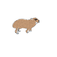 capybara