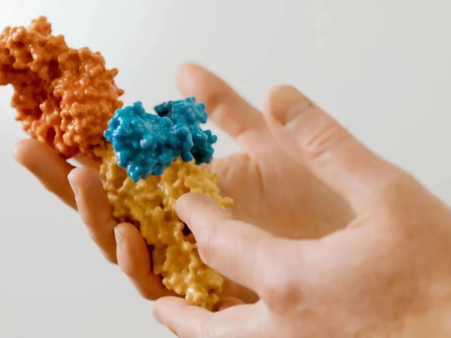 Hands holding a colorful 3D-printed physical model of a protein structure.